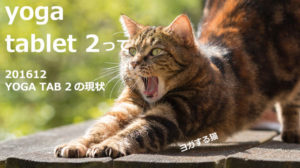YOGA201612