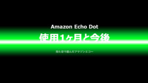 Echo 一ヶ月