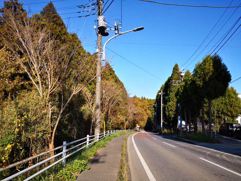 泉自然公園 紅葉 道中