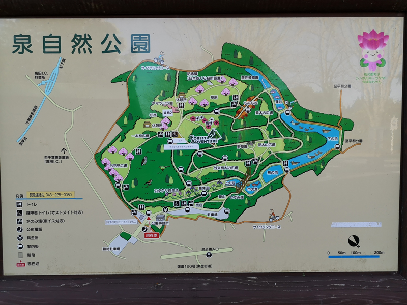 泉自然公園 地図