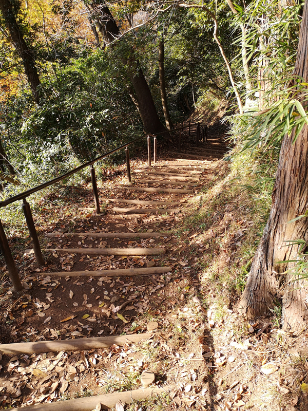 人気の 紅葉 スポット 泉自然公園 千葉 で自然を満喫