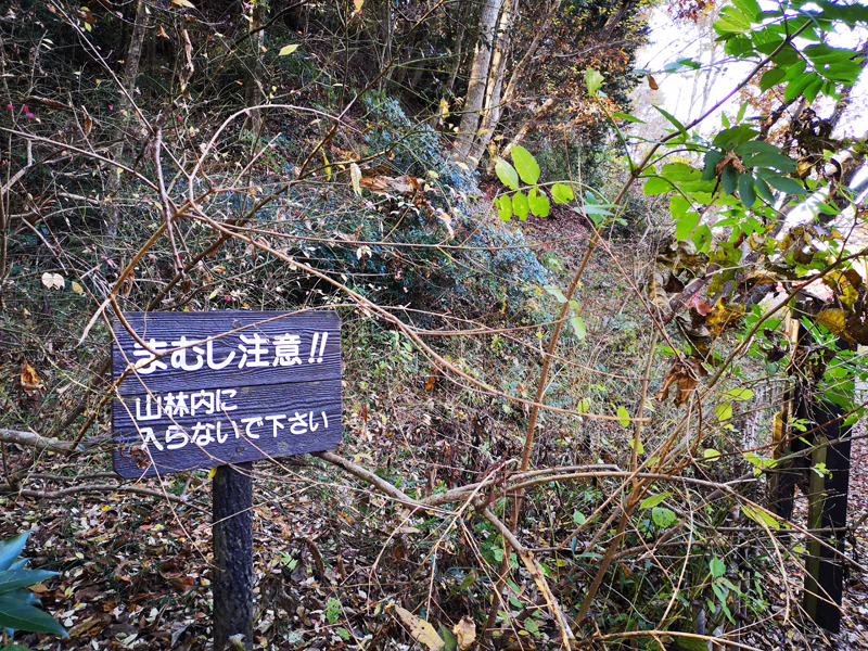 まむし注意