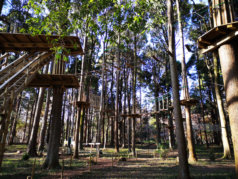 泉自然公園 アスレチック