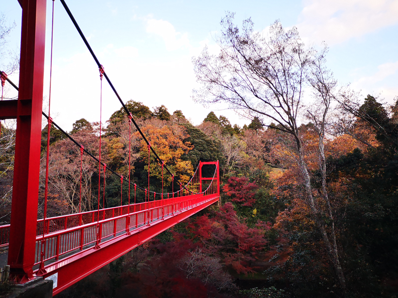 人気の 紅葉 スポット 泉自然公園 千葉 で自然を満喫