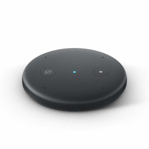 Echo Input 発売