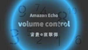 Echo アレクサ volume 音量調整