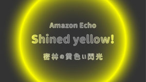 アレクサ　黄色の光 echo
